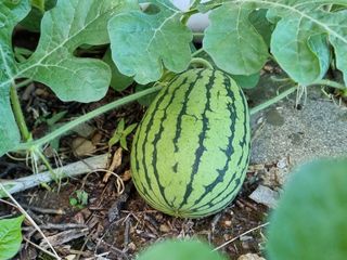 권병☆님의 자유주제 · 자유게시판 작성글 사진