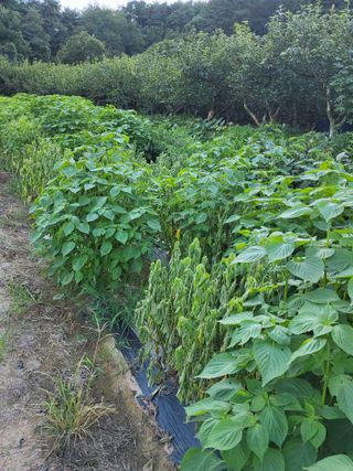 정수산님의 자유주제 · 자유게시판 작성글 사진