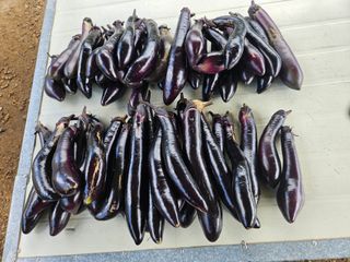 정재남님의 자유주제 · 자유게시판 작성글 사진