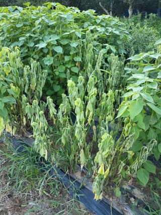 정수산님의 자유주제 · 자유게시판 작성글 사진