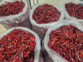 아이농장님의 작성글 사진