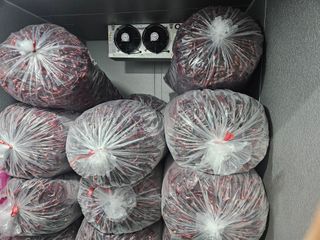 아이농장님의 작성글 사진