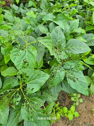 감자20437님의 자유주제 · 자유게시판 작성글 사진