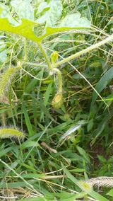 팜모닝 자유주제·자유게시판 게시글 이미지