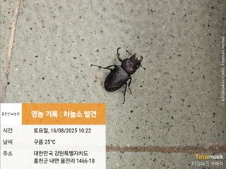 홍천산채농원님의 자유주제 · 자유게시판 작성글 사진