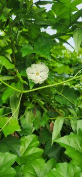 팜모닝 자유주제·자유게시판 게시글 이미지