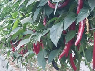 장연규 님의 자유주제 · 자유게시판 작성글 사진