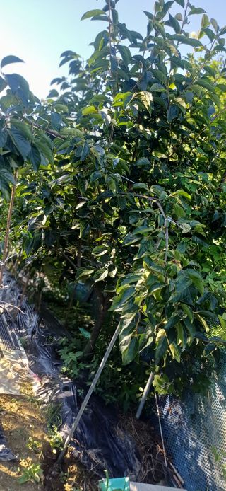 초보퍼머5도2촌준비님의 자유주제 · 자유게시판 작성글 사진