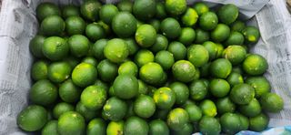 김경희님의 작성글 사진