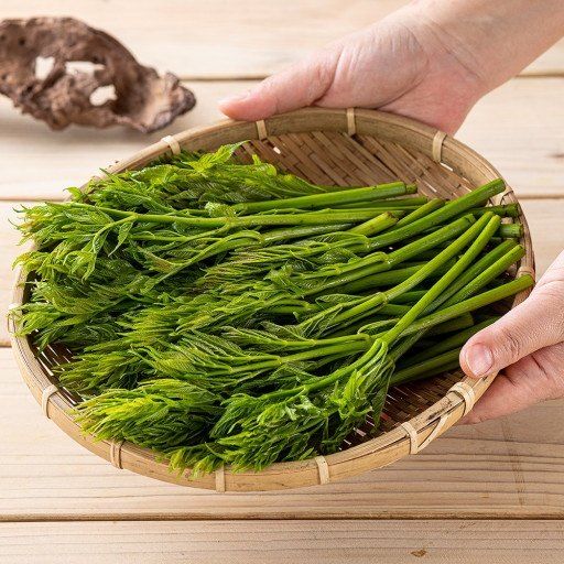 정선 숲속의농부님의 장터 판매 상품 [정선 숲속의 농부 여름두릅] 첨부 사진