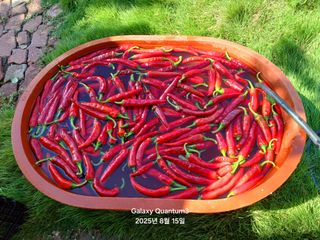 전진규.해돋이님의 자유주제 · 자유게시판 작성글 사진