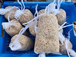 홍산농부님의 작성글 사진