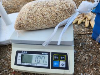 홍산농부님의 작성글 사진