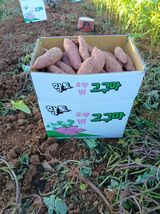 팜모닝 · 게시글 이미지