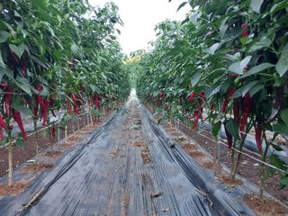 장연규 님의 자유주제 · 자유게시판 작성글 사진