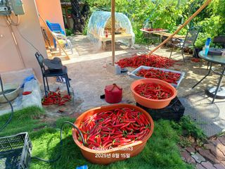 전진규.해돋이님의 자유주제 · 자유게시판 작성글 사진