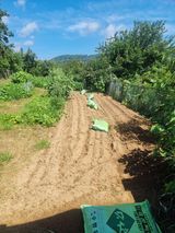 팜모닝 자유주제·자유게시판 게시글 이미지