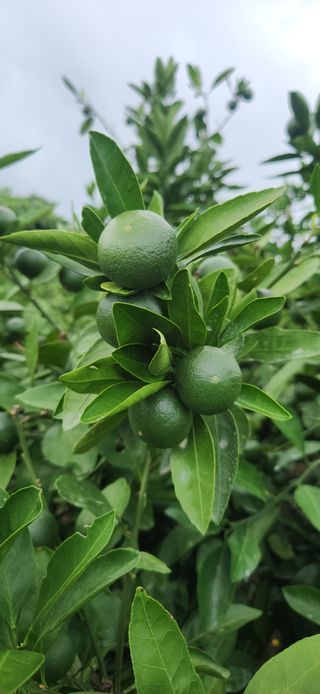 김경희님의 작성글 사진