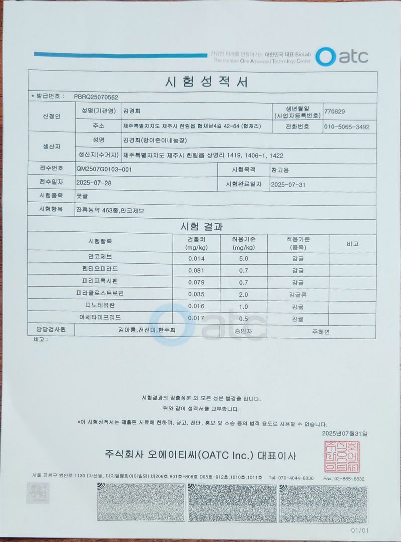 김경희님의 장터 판매 상품 [제주풋귤(청귤)] 첨부 사진