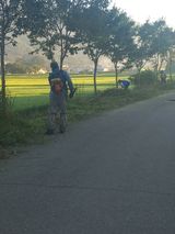 팜모닝 자유주제·자유게시판 게시글 이미지