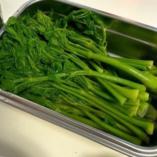 정선 숲속의농부님의 작성글 사진