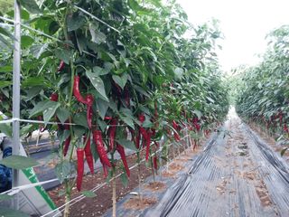 장연규 님의 자유주제 · 자유게시판 작성글 사진