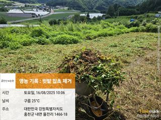 홍천산채농원님의 자유주제 · 자유게시판 작성글 사진