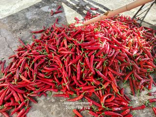 전진규.해돋이님의 자유주제 · 자유게시판 작성글 사진