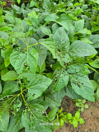 감자20437님의 자유주제 · 자유게시판 작성글 사진