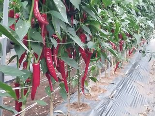 장연규 님의 자유주제 · 자유게시판 작성글 사진