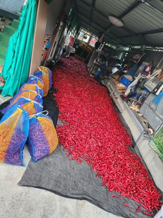 고흥거금도농부님의 자유주제 · 자유게시판 작성글 사진