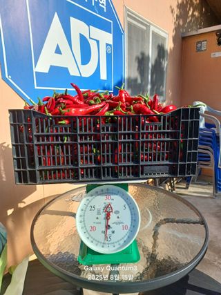 전진규.해돋이님의 자유주제 · 자유게시판 작성글 사진