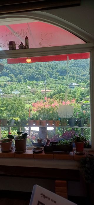 초보퍼머5도2촌준비님의 자유주제 · 자유게시판 작성글 사진