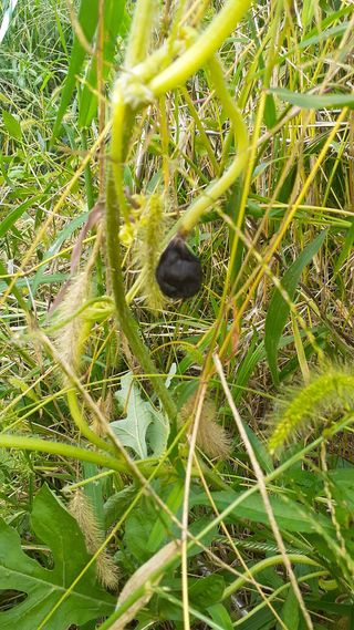 유재혁님의 자유주제 · 자유게시판 작성글 사진