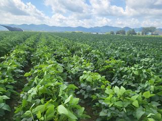 서명석님의 자유주제 · 자유게시판 작성글 사진