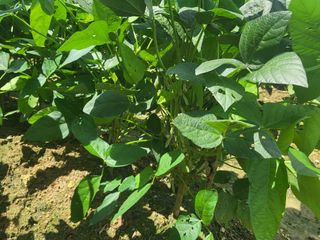 서명석님의 자유주제 · 자유게시판 작성글 사진