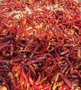 팜모닝 자유주제·자유게시판 게시글 이미지