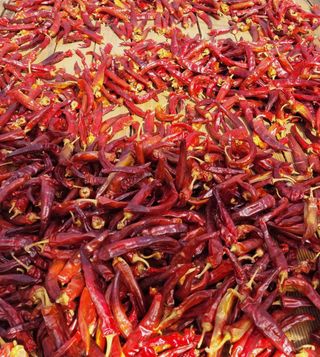 두릅나무20315님의 자유주제 · 자유게시판 작성글 사진