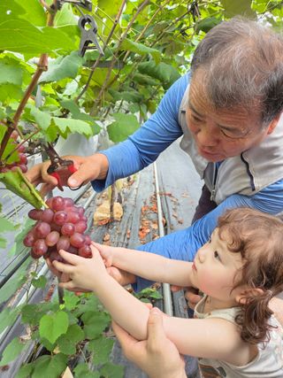 태일농산이정수님의 자유주제 · 자유게시판 작성글 사진