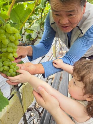 태일농산이정수님의 자유주제 · 자유게시판 작성글 사진