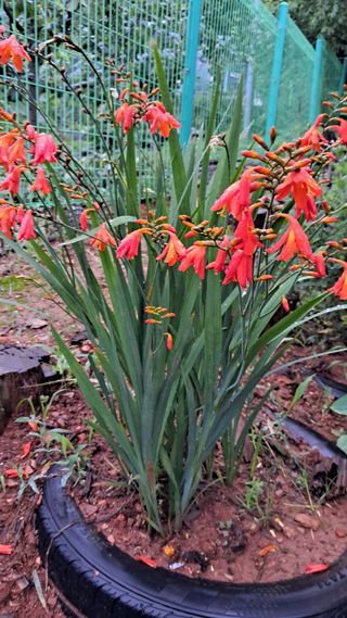 bpjh9173님의 자유주제 · 사진전 작성글 사진