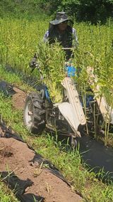 팜모닝 자유주제·자유게시판 게시글 이미지