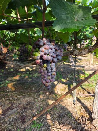 영천님의 자유주제 · 자유게시판 작성글 사진