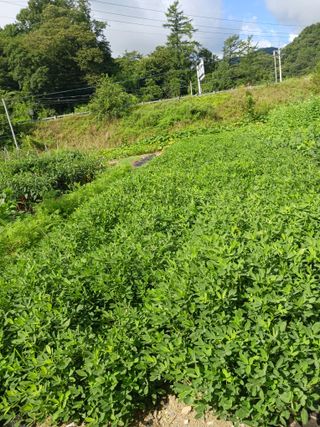 조정분(사랑이엄마)님의 자유주제 · 자유게시판 작성글 사진