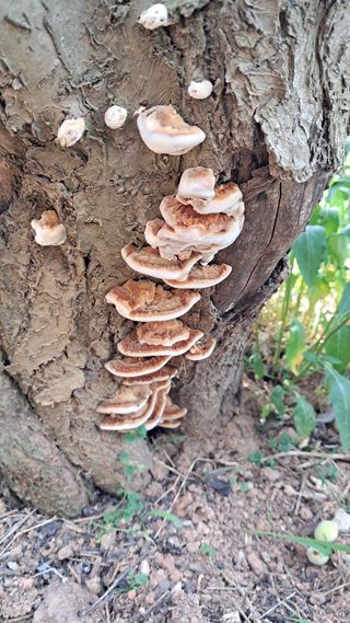 bpjh9173님의 자유주제 · 사진전 작성글 사진