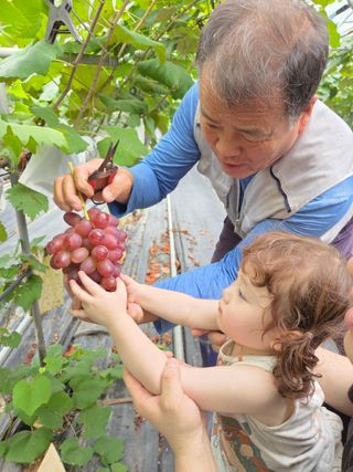 태일농산이정수님의 자유주제 · 자유게시판 작성글 사진