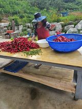 팜모닝 자유주제·자유게시판 게시글 이미지