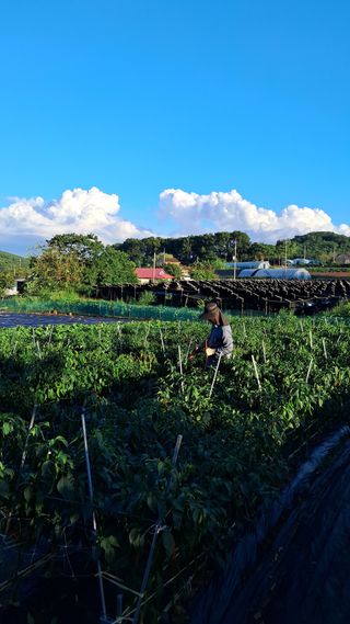 bpjh9173님의 자유주제 · 사진전 작성글 사진