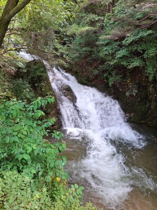 사과13534님의 자유주제 · 자유게시판 작성글 사진