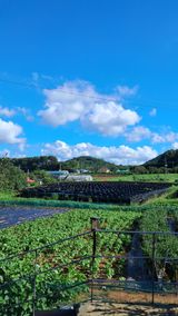 팜모닝 자유주제·사진전 게시글 이미지